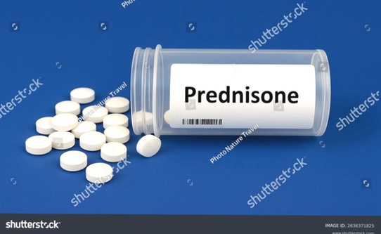 prednisone generico